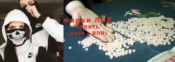 spice Инсар
